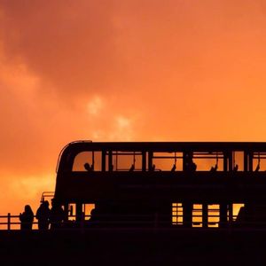 成人🔞日本无码视频在线观看
