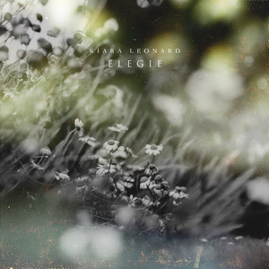 成人🔞日本无码视频在线观看
