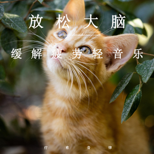 成人🔞日本无码视频在线观看
